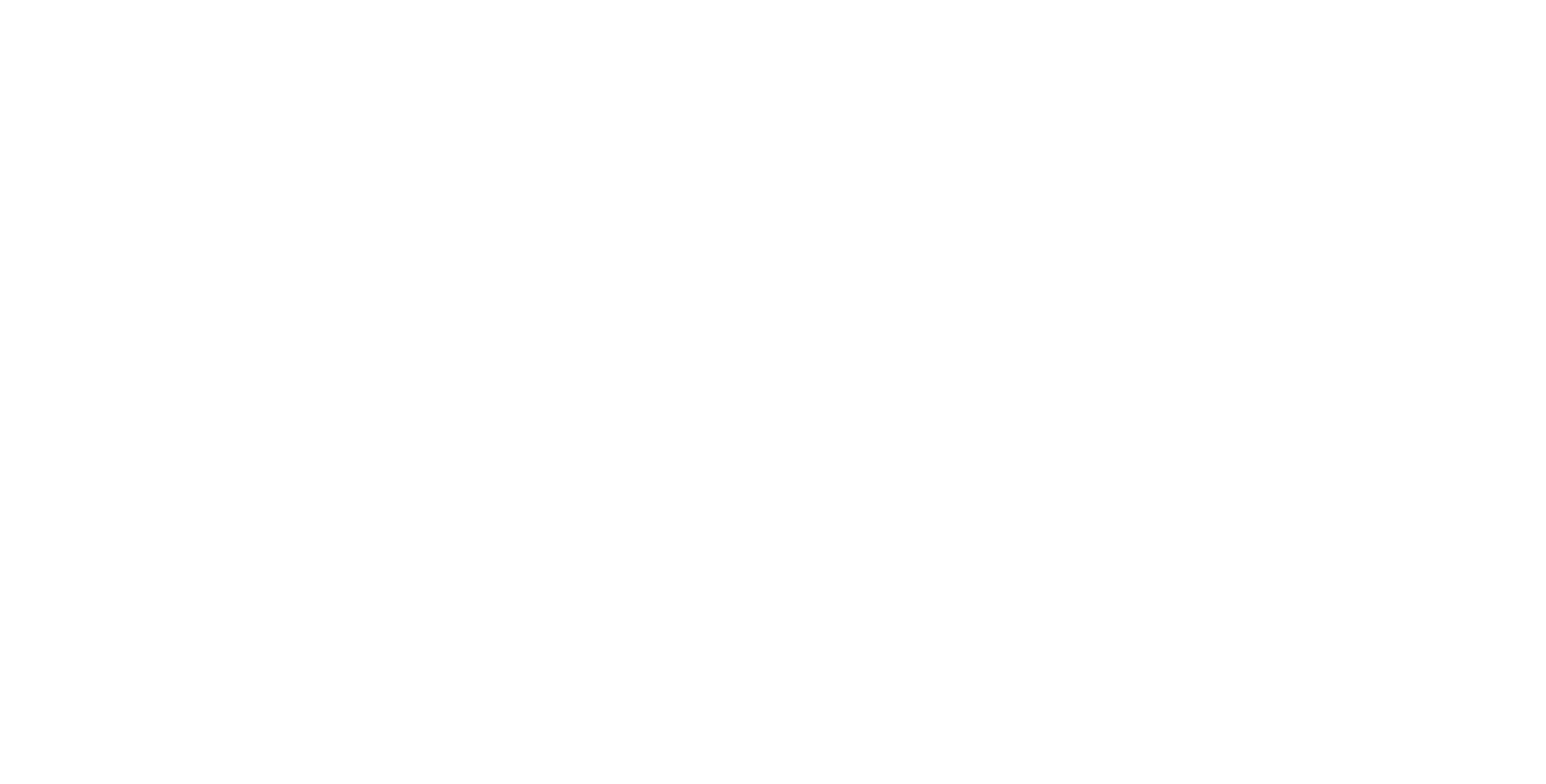 Studio Style Pro